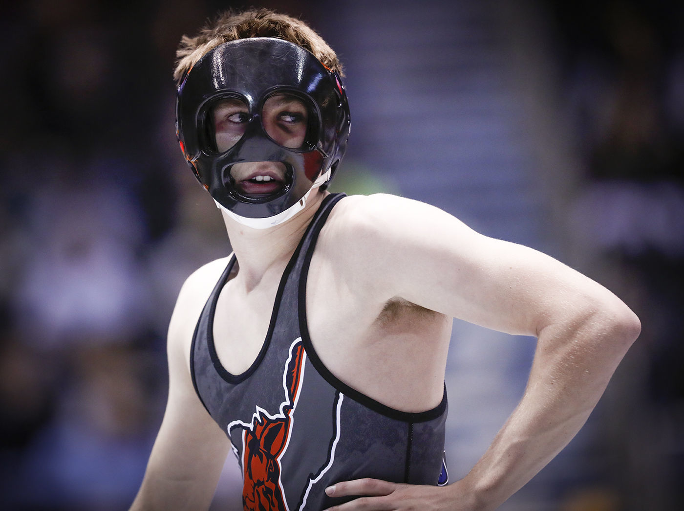 State Wrestling Quarter Finals